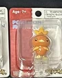 Torchic