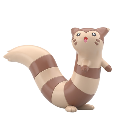 Furret